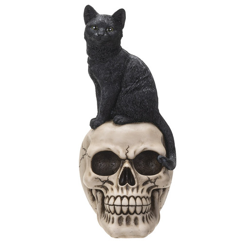 BLACK CAT ON SKULL