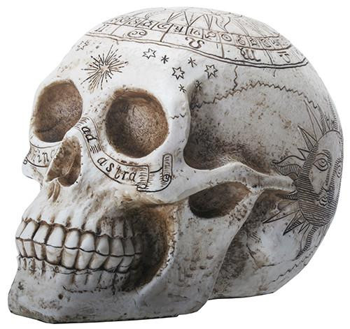 ASTROLOGY SKULL