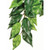 RA  Hanging Silk Ficus - Small
