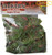 RA  Repta-Vines - Red Coleus - 6"
