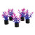 RA  Mini Plant - Violet - 1.5" - 5 pk
