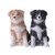 PT Border Collie Salt and Pepper Shakers