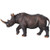 RHINOCEROS