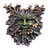GREENMAN PLAQUE