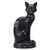 BLACK CAT