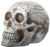 ASTROLOGY SKULL