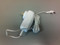 Biozone 2 Amp Power Supply Adaptor - White (16-2000)