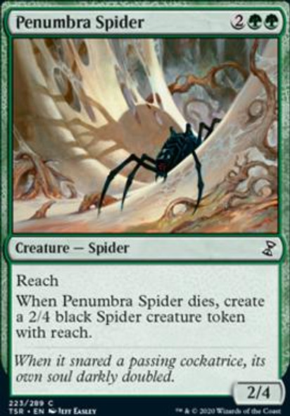 Penumbra Spider (TSR_223)