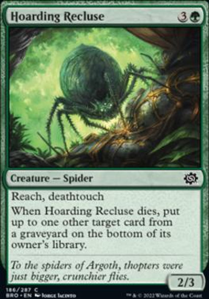 Hoarding Recluse