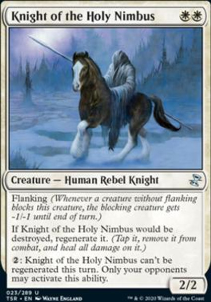 Knight of the Holy Nimbus (TSR_23)