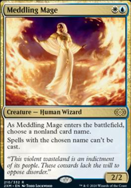 Meddling Mage (210 of 384)