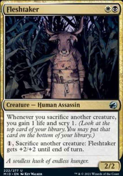Fleshtaker (IMH 222)