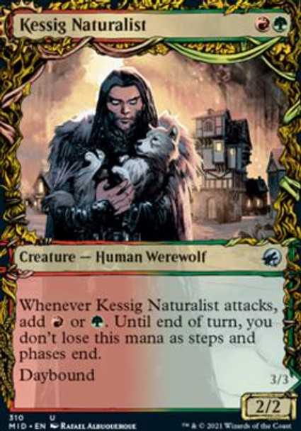 Kessig Naturalist (Showcase) (IMH 310)