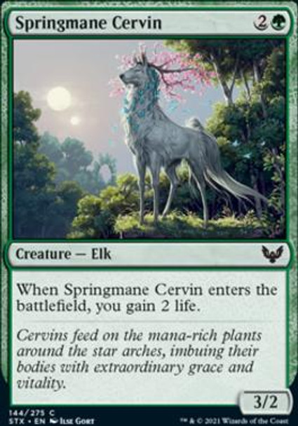 Springmane Cervin (STX 144)