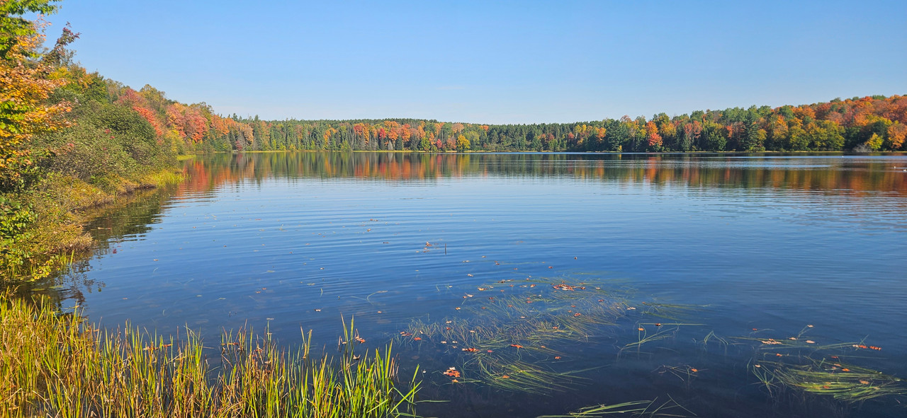 FOR ALL YOUR LAKE & POND NEEDS FOR ALL YOUR LAKE & POND NEEDS