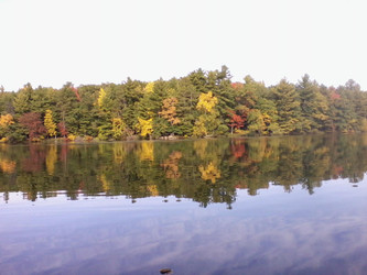 Prior Proper Planning Prevents Perplexing Pond Problems