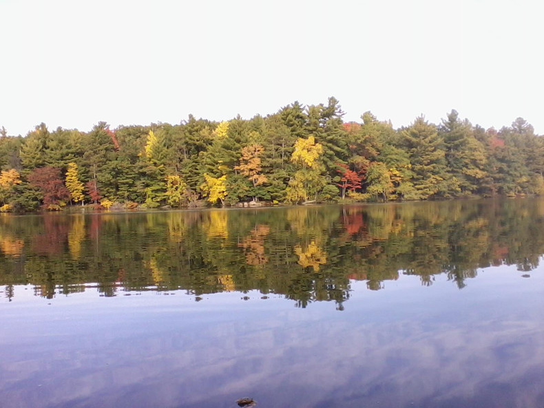 Prior Proper Planning Prevents Perplexing Pond Problems