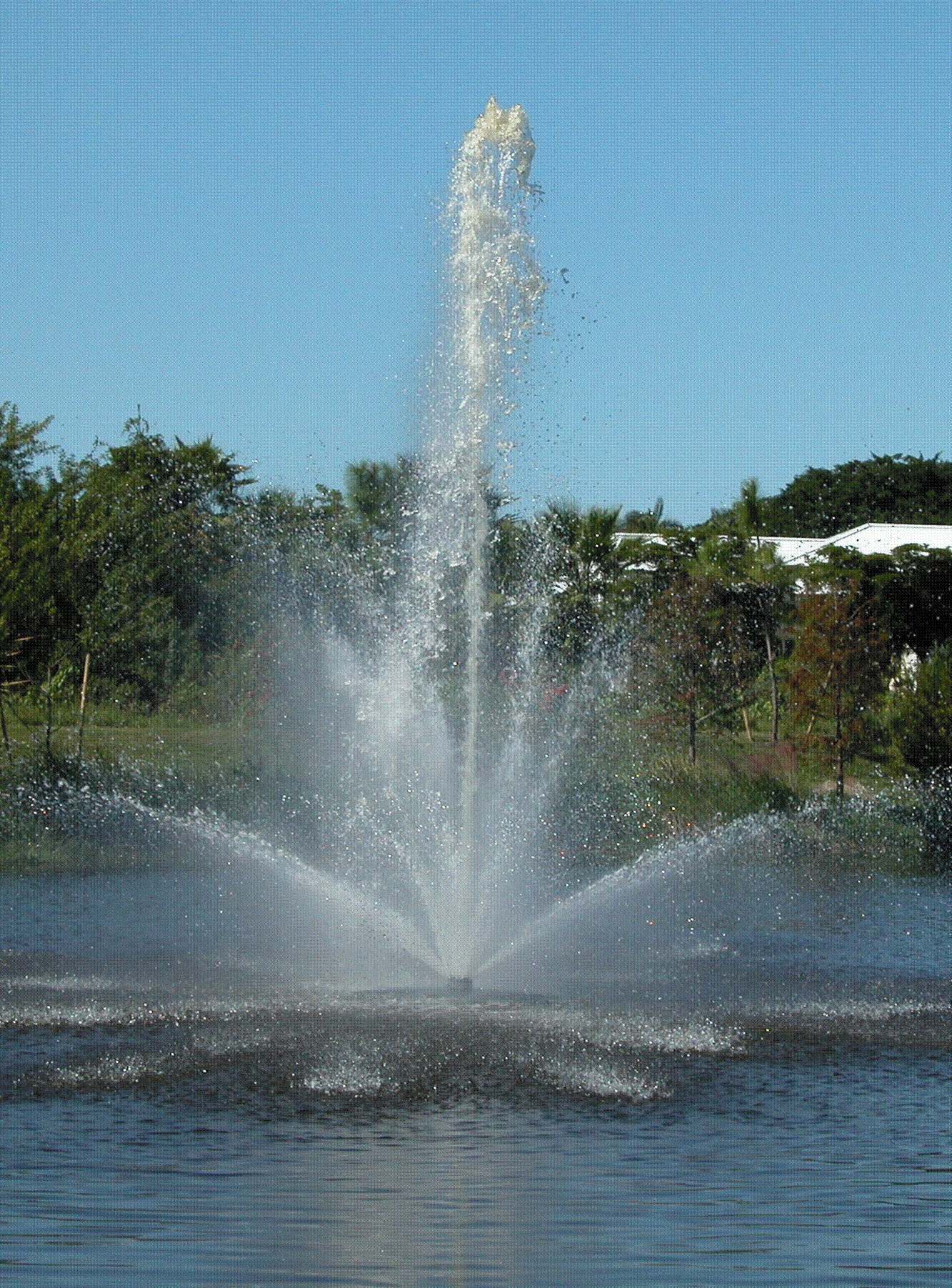 Backyard pond with Aquamaster Fountain 