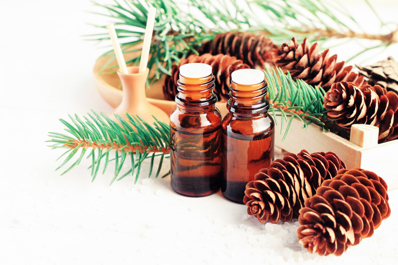 Essential Oil of the Month: Spruce
