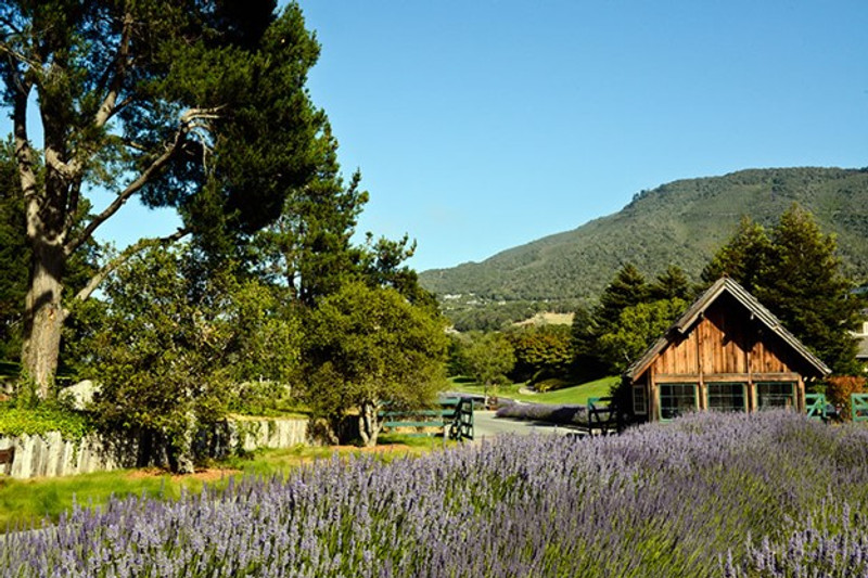 Property Profile: Carmel Valley Ranch Property Profile: Carmel Valley Ranch