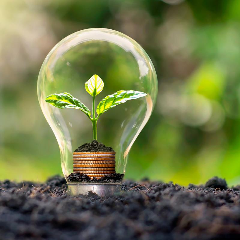 Nurturing Our Planet: Sustainable Self-Care Tips