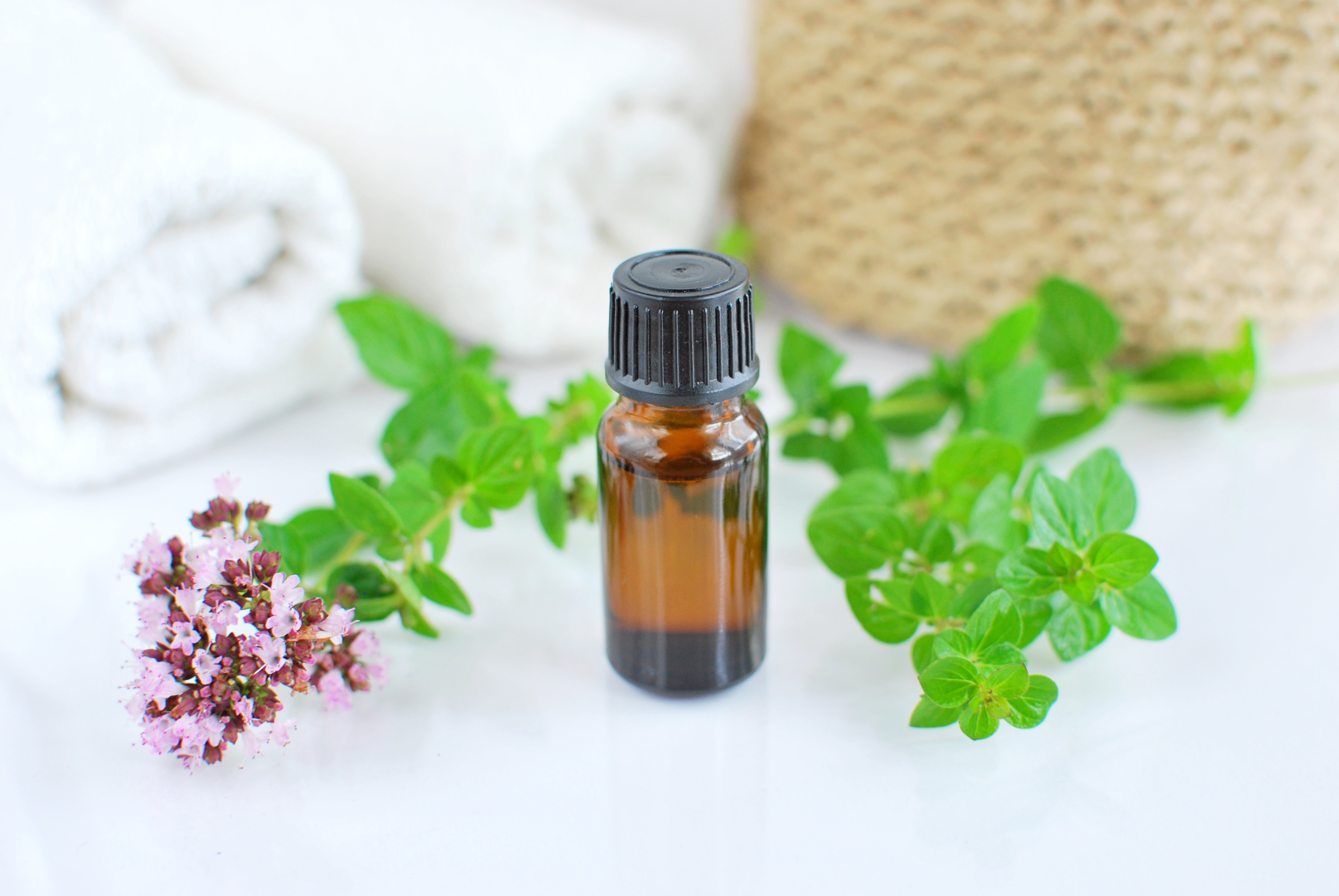 Essential Oil of the Month: Sweet Marjoram