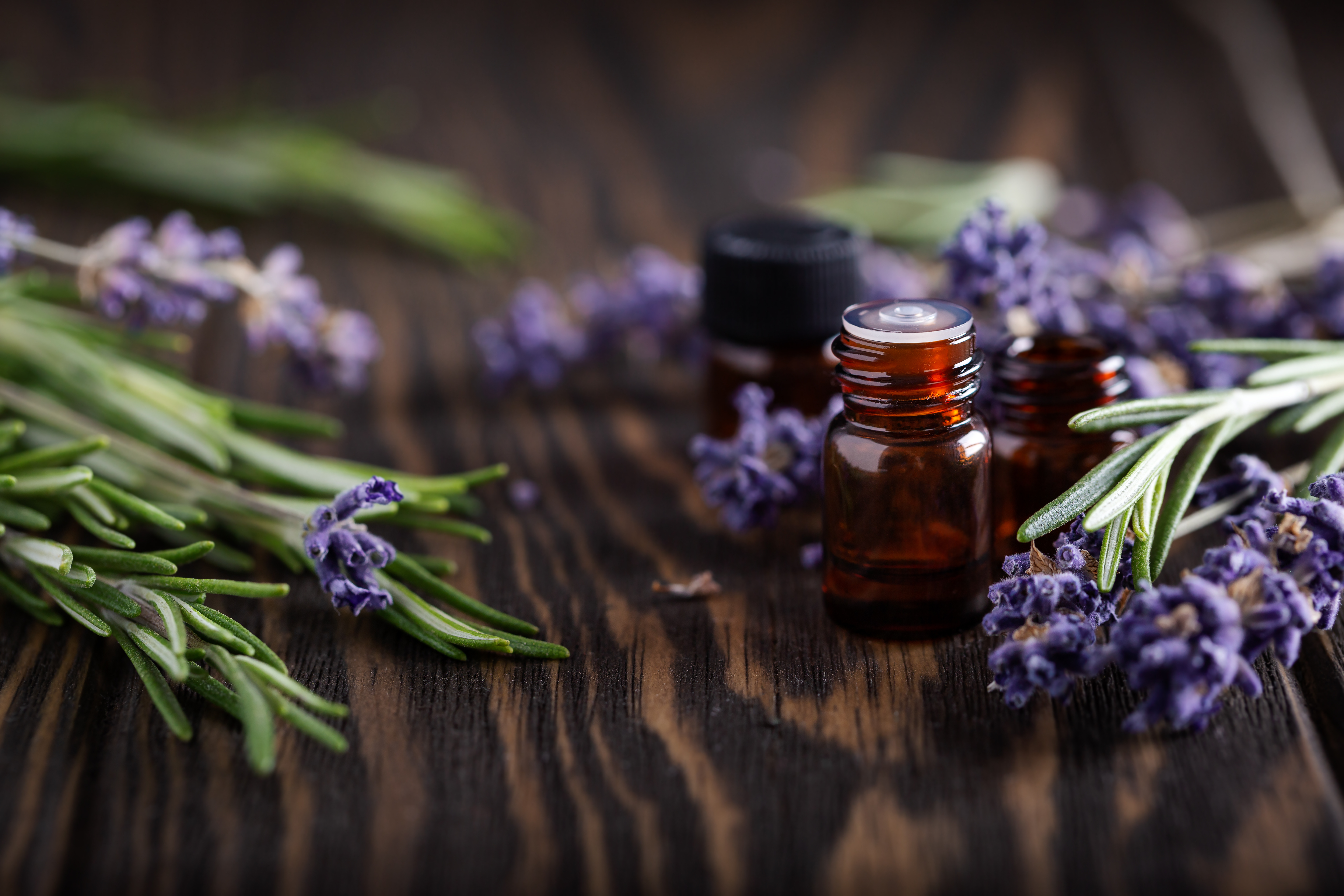 Essential Oil of the Month: Rosemary