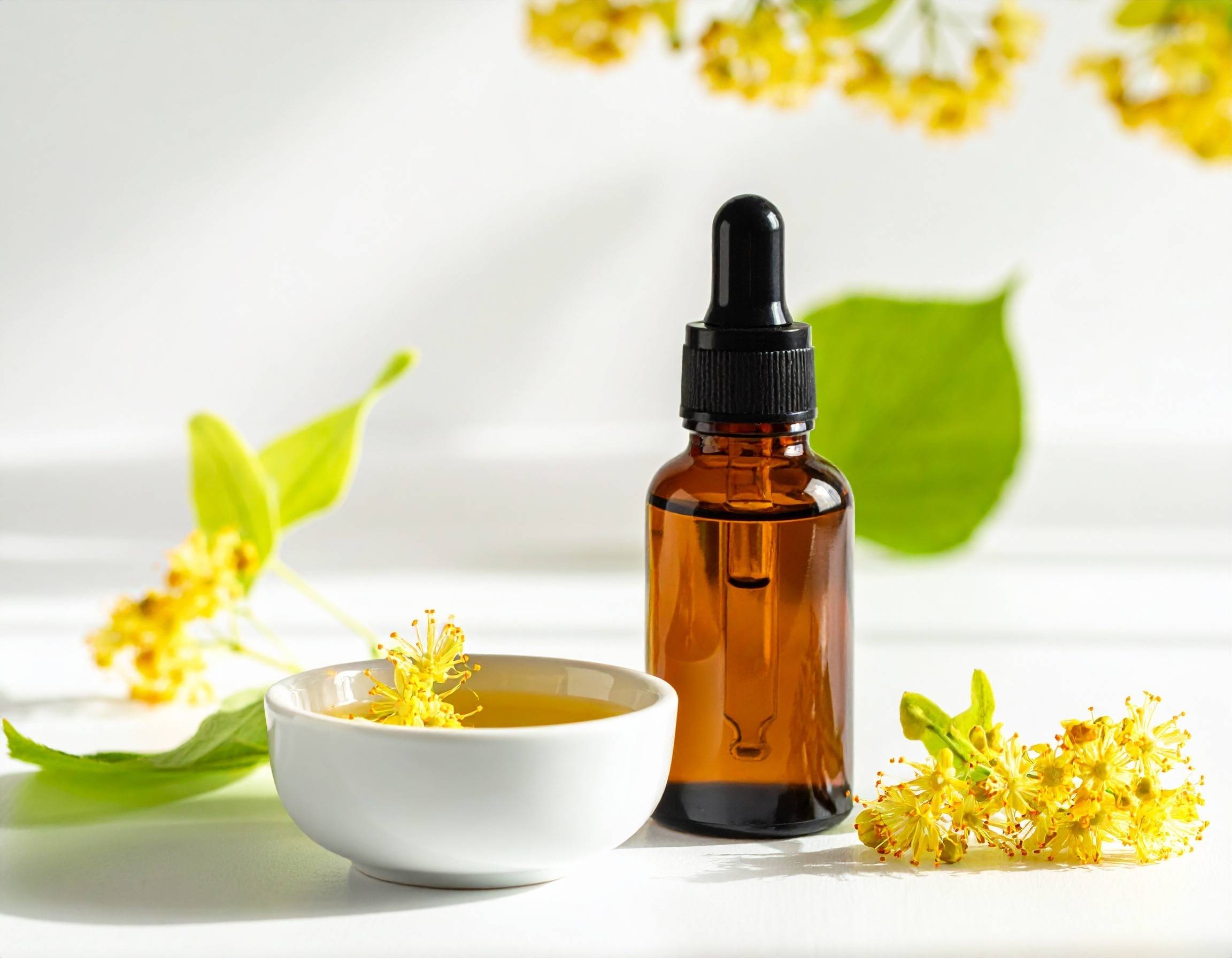 Ingredient Spotlight: Witch Hazel