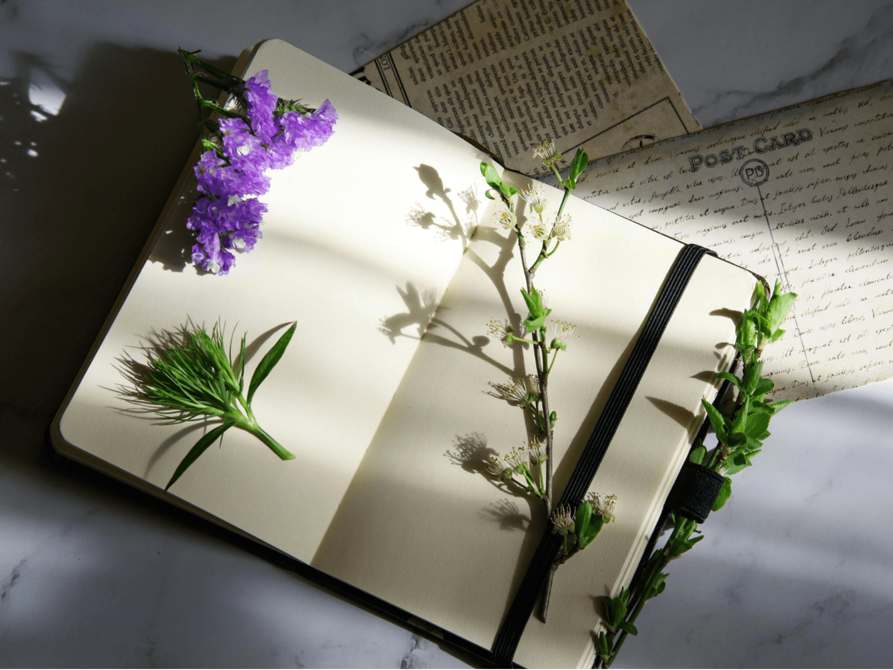 Wisdom & Wellbeing: The Scented Psyche