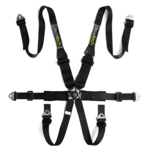 Racetech Pro 6-point FHR Lightweight Harness Hans Style Racetech Pro 6-point FHR Lightweight Harness Hans Style