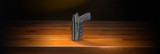 Bodyguard 2.0 vs Carry Comp: Which to Choose?