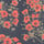 Poppies_of_War
