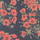 Poppies_of_War