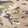 Multicam