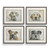 Dog Days Framed Prints Set/4 - Size: 59H x 71W x 4D (cm) - Contemporary style Dog Days Framed Prints Set/4 - Size: 59H x 71W x 4D (cm) - Contemporary style