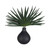 Axis Palm Accent & Vase - Size: 36H x 36W x 25D (cm) - Organic style Axis Palm Accent & Vase - Size: 36H x 36W x 25D (cm) - Organic style