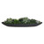 Verde Succulent Centerpiece In Bowl - Size: 15H x 74W x 20D (cm) - Organic style Verde Succulent Centerpiece In Bowl - Size: 15H x 74W x 20D (cm) - Organic style