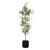 Boreal Potted Birch Tree - Size: 219H x 72W x 72D (cm) - Organic style Boreal Potted Birch Tree - Size: 219H x 72W x 72D (cm) - Organic style