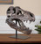 Tyrannosaurus Sculpture - Size: 48H x 49W x 29D (cm) - Contemporary style