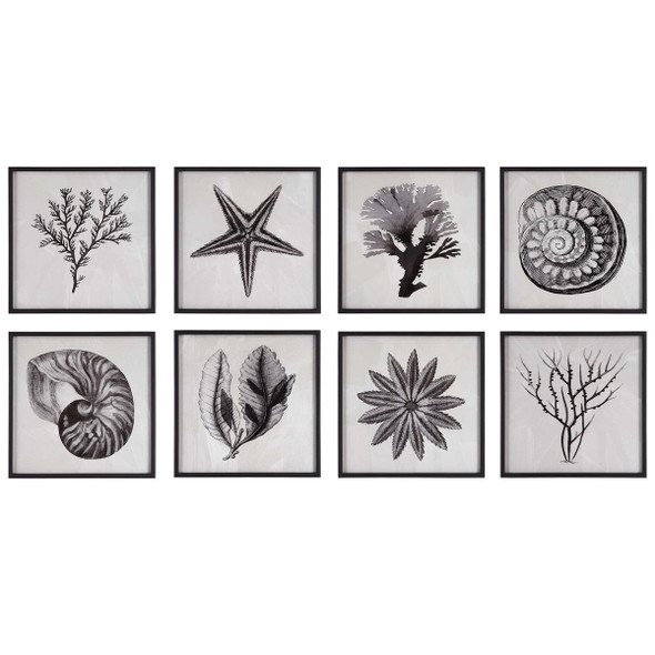 Sea Living Framed Prints, S/8 - Size: 30H x 30W x 3D (cm) - Contemporary style