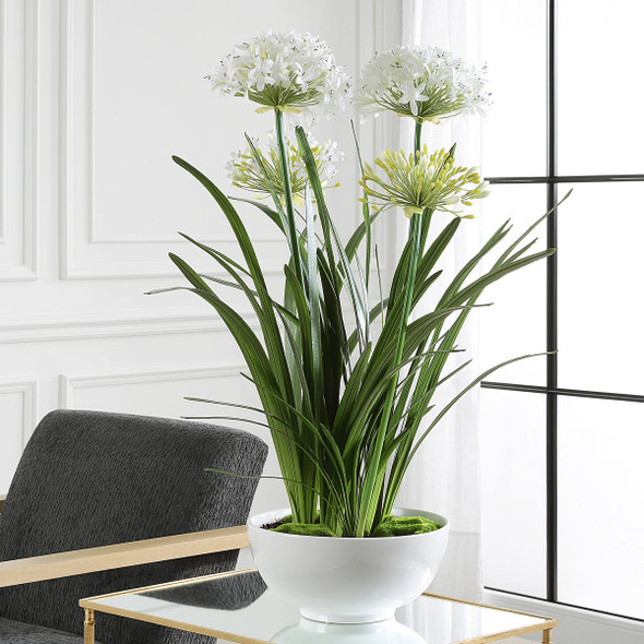 Purity Agapanthus Centerpiece - Size: 98H x 76W x 76D (cm) - Contemporary style Purity Agapanthus Centerpiece - Size: 98H x 76W x 76D (cm) - Contemporary style