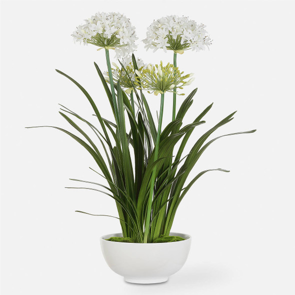 Purity Agapanthus Centerpiece Contemporary style Botanical Decor Purity Agapanthus Centerpiece Contemporary style Botanical Decor