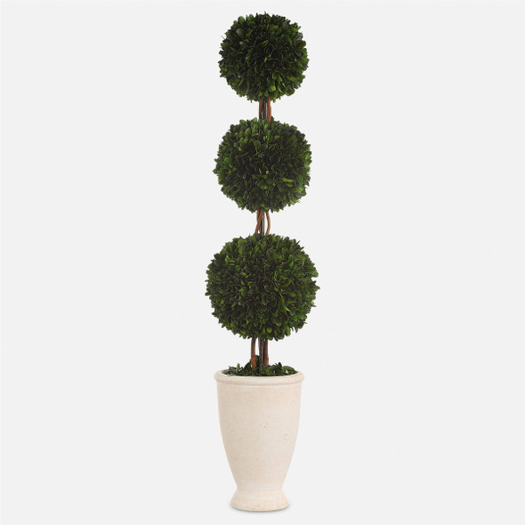 Preserved Boxwood Triple Topiary Contemporary style Botanical Decor Preserved Boxwood Triple Topiary Contemporary style Botanical Decor