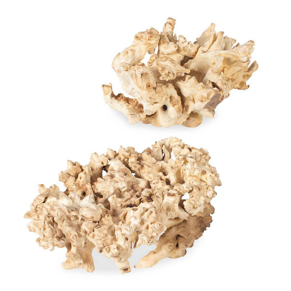Elemental Root Outdoor Sculptures Set/2 - Size: 20H x 55W x 38D (cm) - Organic style