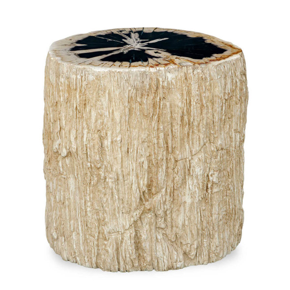 Arco Petrified Wood Top Accent Table - Size: 46H x 43W x 38D (cm) - Organic style