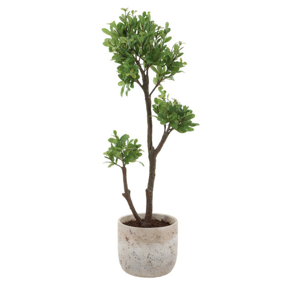 Arbor Strawberry Tree - Size: 109H x 34W x 37D (cm) - Organic style