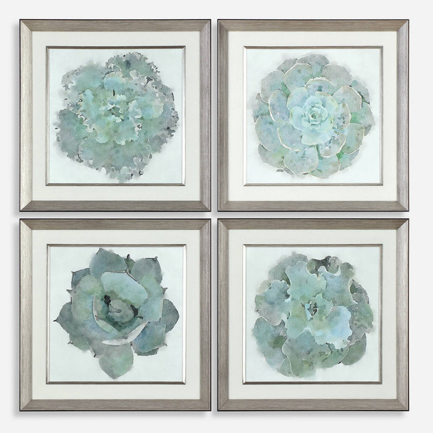 Natural Beauties Botanical Prints S/4 Contemporary style Print Decor