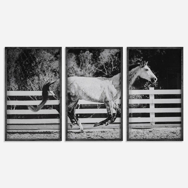 Galloping Forward Equine Prints - Set/3 Contemporary style Print Decor