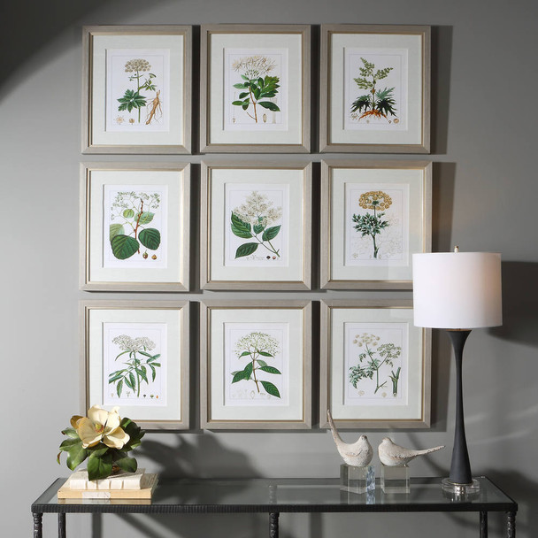 Antique Botanicals Framed Prints - S/9 - Size: 50H x 43W x 4D (cm) - Mid-Century Modern style