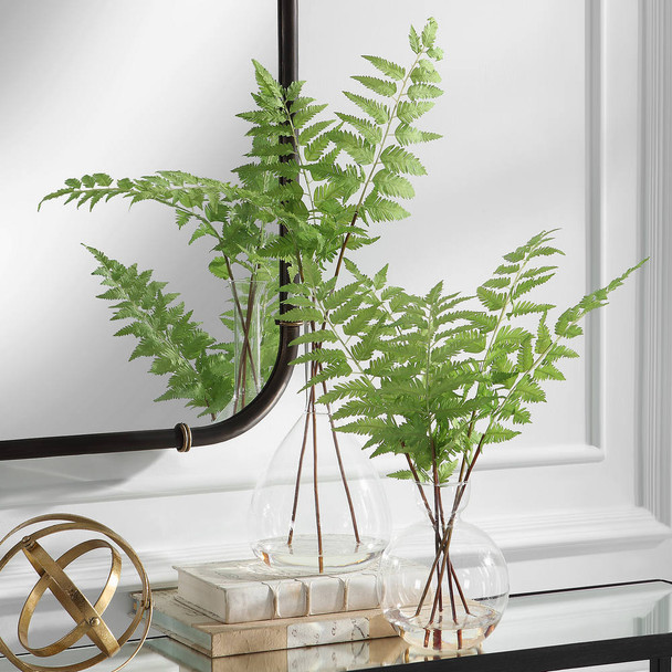 Country Ferns - S/2 - Size: 53H x 42W x 42D (cm) - Contemporary style